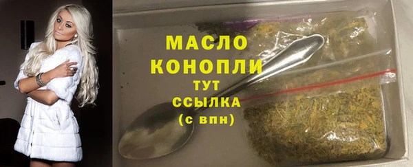 мдпв Богданович