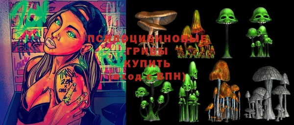мдпв Богданович
