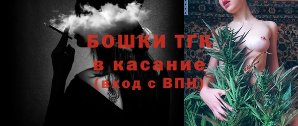 PSILOCYBIN Бородино