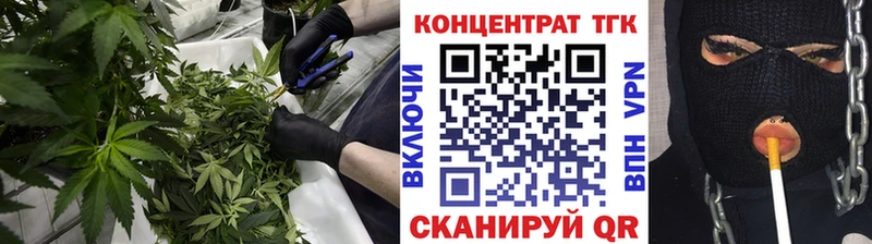 маркетплейс Telegram Новоржев Дистиллят ТГК Wax