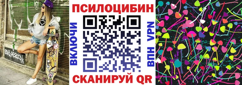 купить  сайты  Новоржев  Галлюциногенные грибы Cubensis 