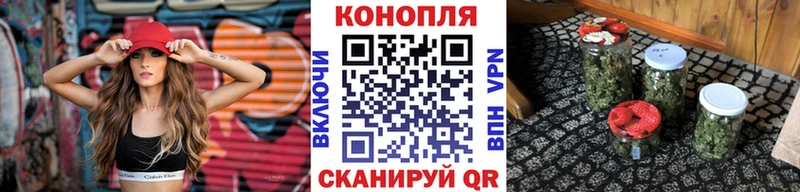 закладка  Новоржев  Канабис гибрид 